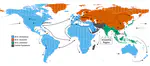 Mapping the Global Distribution of Mus musculus: Implications for Evolutionary Genetics